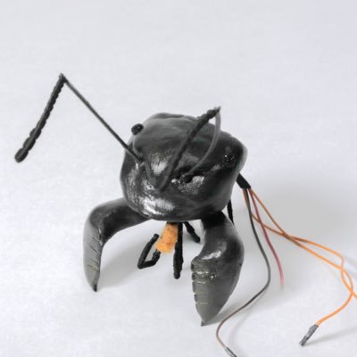 john_espey's profile picture. Robotics Artist and insect lover.