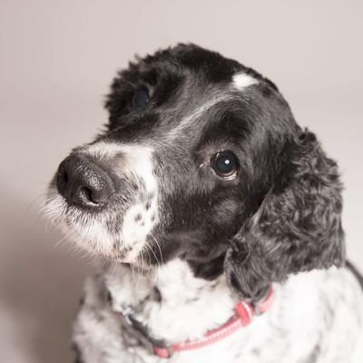 AnthonyDunn4's profile picture. 