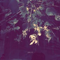 ๐ (@x3_72) 's Twitter Profile
