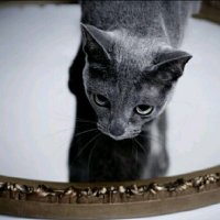 とも (@1tomotomot1) Twitter profile photo