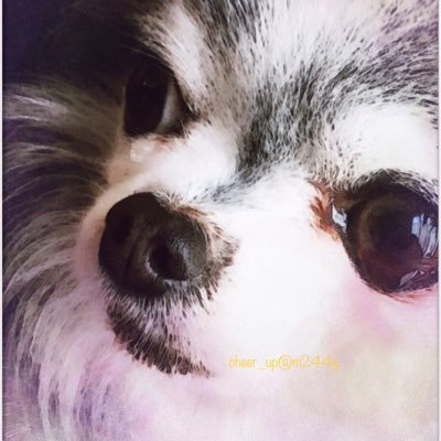 m244y's profile picture. つぶやきは気の向くまま💛草彅剛さん大好きなNAKAMAです💛誤字脱字変換ミスは笑ってお許しください🙇‍♀️よろしくお願いします