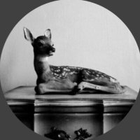 N' Otb 💎 (@_joolya5) Twitter profile photo