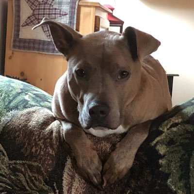 JanBerlinsky's profile picture. Independent Consultant w/Mary Kay; Art Teacher; Artist