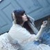石川智晶スタッフ (@staffnekoko) Twitter profile photo 石川智晶スタッフ (@staffnekoko) Twitter profile photo