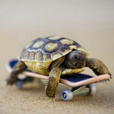 Rooreelooo's profile picture. 🎵 Currently Listening To: "You're Beautiful - James Blunt, Back To Bedlam (2004)" 🎵