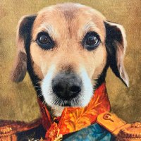 Steven Lilien (@stevenlilien) 's Twitter Profile