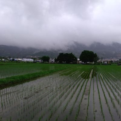 builwinding's profile picture. 