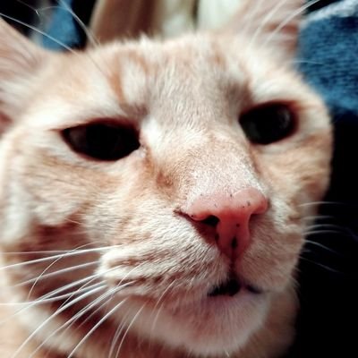 Akira62741713's profile picture. 