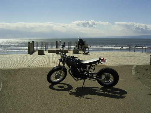 shinol's profile picture. 