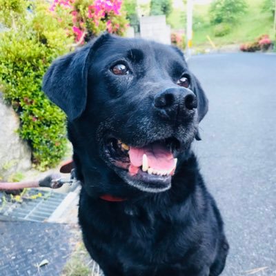 QJMOGTHJx5uG9Pi's profile picture. 