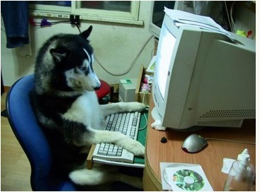 SinIsGod's profile picture. 안녕하세요
hi
말을거세요
언제든지요
저는당신을맞이해줄겁니다
당신과 대화할준비가되어있습니다