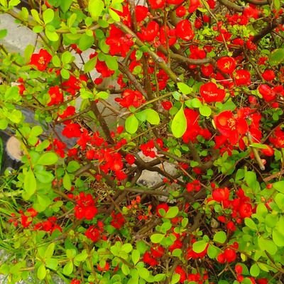 fadetoblack1995's profile picture. ...---...