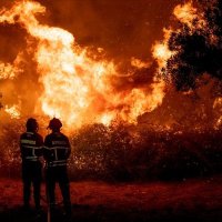 Avalon- Project Wildfire(@AvalonWildfire) 's Twitter Profile Photo