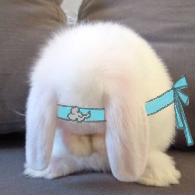 운심부지처 토끼さんのプロフィール画像