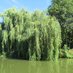 Berkhamsted Herts (@berkhamstedhert) Twitter profile photo Berkhamsted Herts (@berkhamstedhert) Twitter profile photo