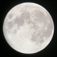 . (@mpikachumm) 's Twitter Profile