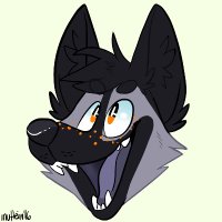 nevimer (@nevimer) 's Twitter Profile