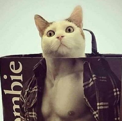 ramuneko8739's profile picture. ラムネです。