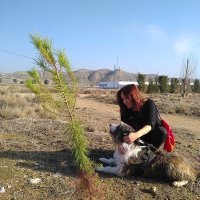 Ana E. (@abechevarria) 's Twitter Profile Photo