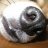 Yukitaka503's profile image