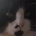 Alternativ_Media (@tina34823210) Twitter profile photo Alternativ_Media (@tina34823210) Twitter profile photo