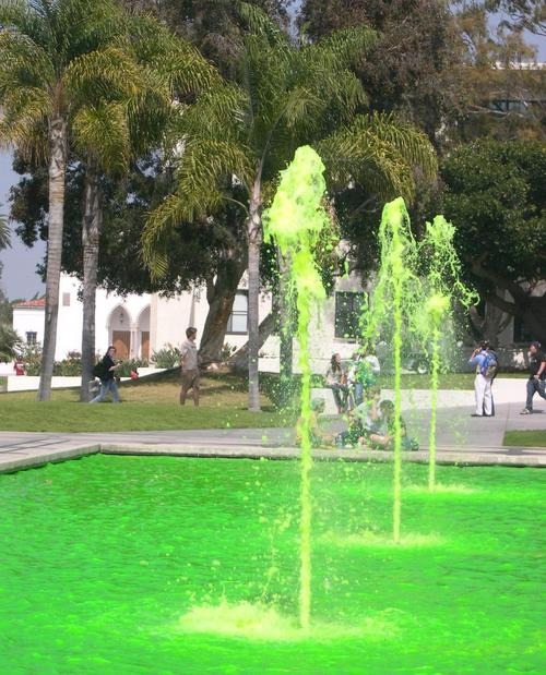 TheGreenSpot's profile picture. 