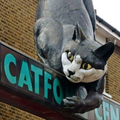Seen a cat? In Catford? Great news. Please tell us about it.