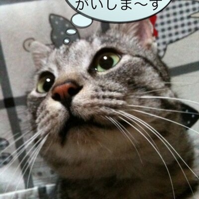 sukechan6's profile image