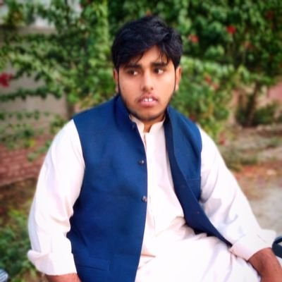 MuhammahAshraf1's profile picture. bahi