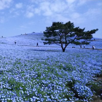 アニメ好き、釣りバカ、たまに写真撮りとビーチコーミングに行きます 
 釣りは基本なんでもやりますが貧乏釣り人なので道具にはこだわりません

YouTube活動は休止中(撮り溜めしてます)

釣り歴23年ほど、最近ホロライブにガッツリハマってます