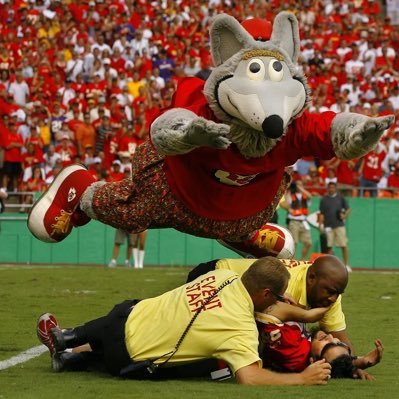 msallin2's profile picture. 