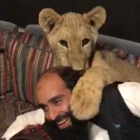 سعود الهويمل (@saud_azez) 's Twitter Profile Photo سعود الهويمل (@saud_azez) 's Twitter Profile Photo