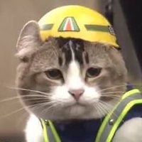まろんぼ (@maromaromaronbo) Twitter profile photo