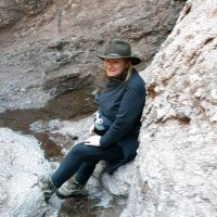 Mary Anne Reilly (@cassandramar) 's Twitter Profile