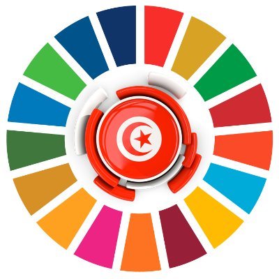 Compte Twitter officiel de l'Agenda 2030 pour le #DéveloppementDurable en #Tunisie #ODD #SDGs