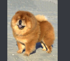 bastral2's profile picture. i am following a shit ton of people as a test
go follow @buzzgastral if u want

#follow4follow
#followforfollow
#followingback