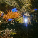 Joyce Van ...... - @BesteJoyceAngel - Twitter