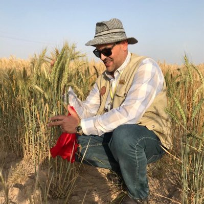 Ph.D  Field Crop Republic of iraq ministry of agriculture directorate of seed testing and certification.