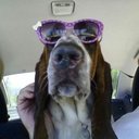 Candice Baker - @Candice93979013 - Twitter