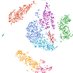 single cell RNA seq (@cellseq) Twitter profile photo single cell RNA seq (@cellseq) Twitter profile photo