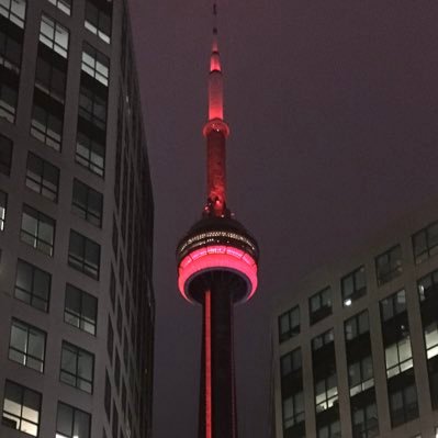 Travel, working out, #BlueJays, #Raptors, #TeamCanada & for my husband #BuffaloBills…..All opinions expressed are my own....if you like them 😁