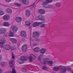 UK Endocrine Pathology Society (@ukepsoc) Twitter profile photo UK Endocrine Pathology Society (@ukepsoc) Twitter profile photo