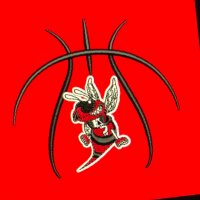 Hickory Basketball (@hickoryhighbb) 's Twitter Profile