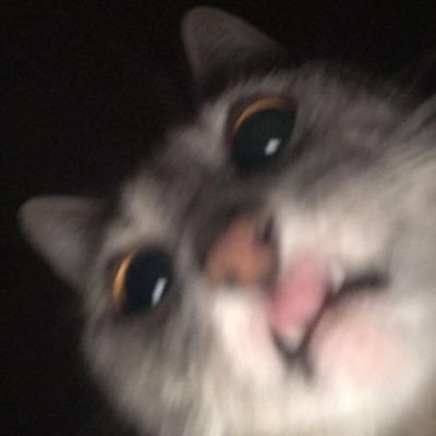 tyaaraf's profile picture. live for kindness