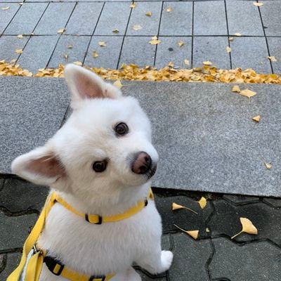 ちょ ばんさんのプロフィール画像