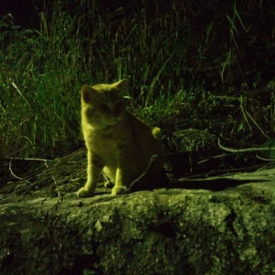 THさんのプロフィール画像