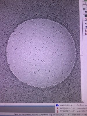 BraveSong6's profile picture. Cryo-EM/ET for the Cellular biology.