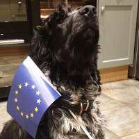 DrKatya#FBPE 🧡(@Flamingo_Kat) 's Twitter Profile Photo