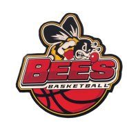 Brecksville-Broadview Hts HS Boys Hoops Program(@beeshoops) 's Twitter Profile Photo