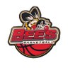 beeshoops's profile picture. 1152 WINS — 37 CHAMPIONSHIPS